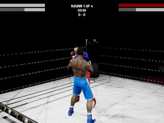 Boxing Simulator