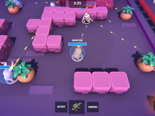 Brawl Arena Shooter