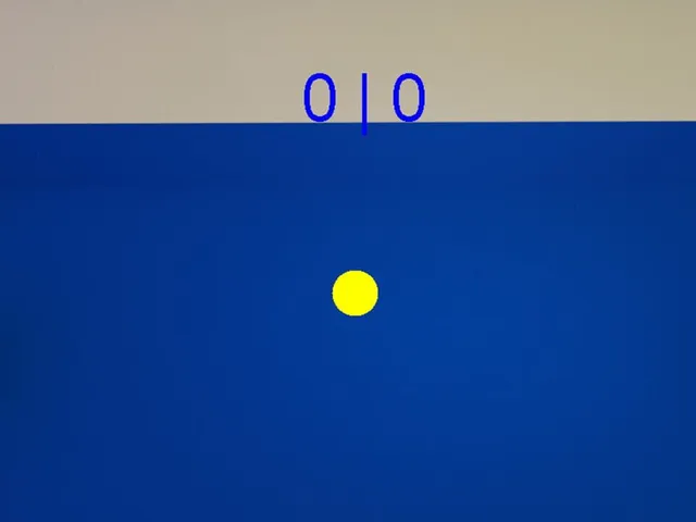 Brendon's Water Polo