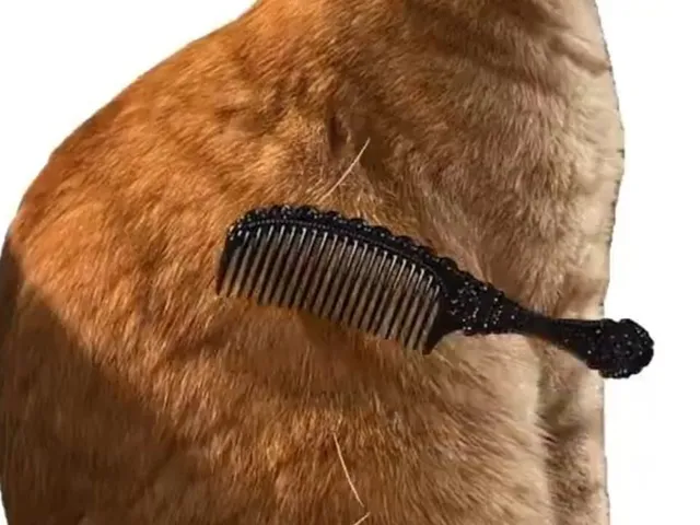 Brush Jjaemu