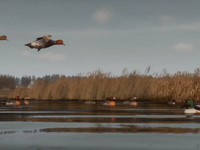 Bult: Hunting Simulator