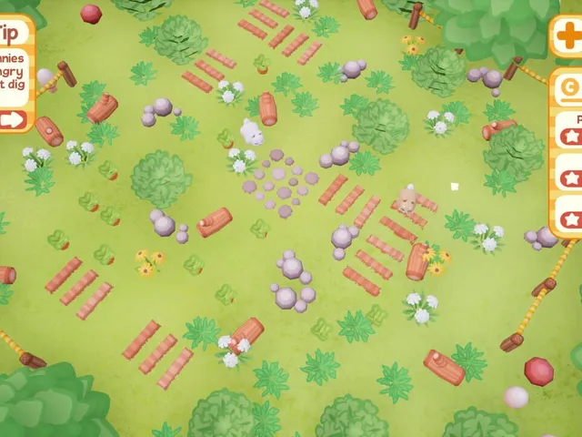 Bunny Park