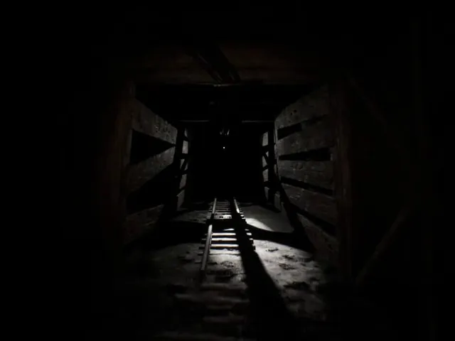 Cage-Face: Case 1 - The Mine