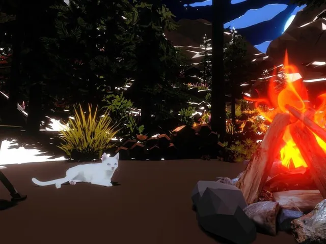 Campfire with Cat