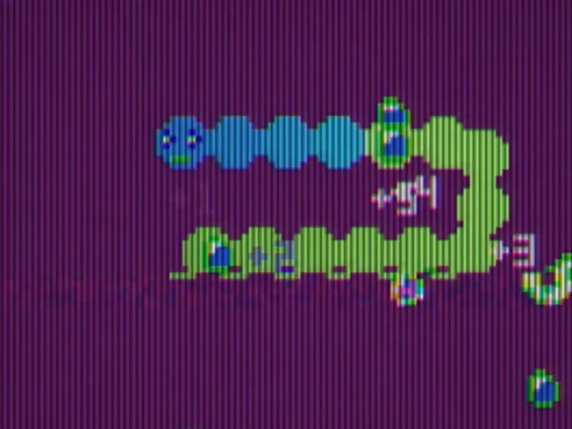 Candy Worm
