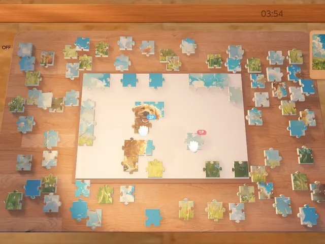 Canvas Puzzle