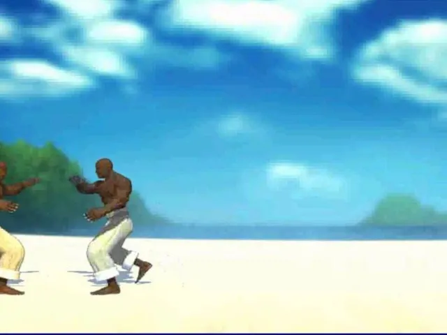 Capoeira Fighter