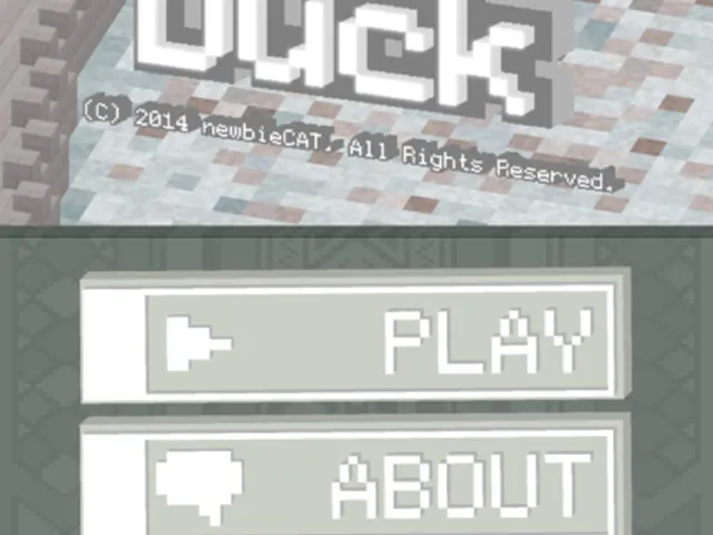 CastleOfDuck