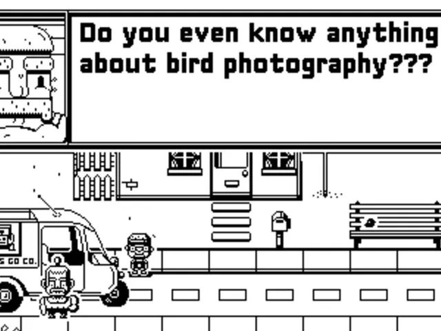 Casual Birder