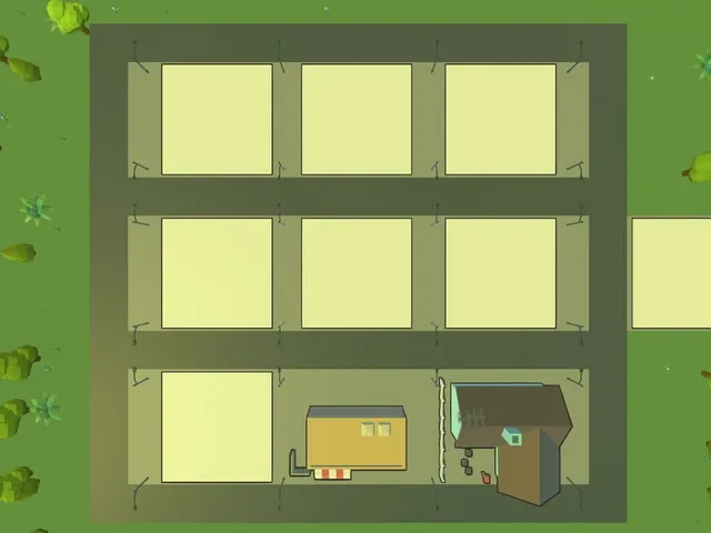 Cat City