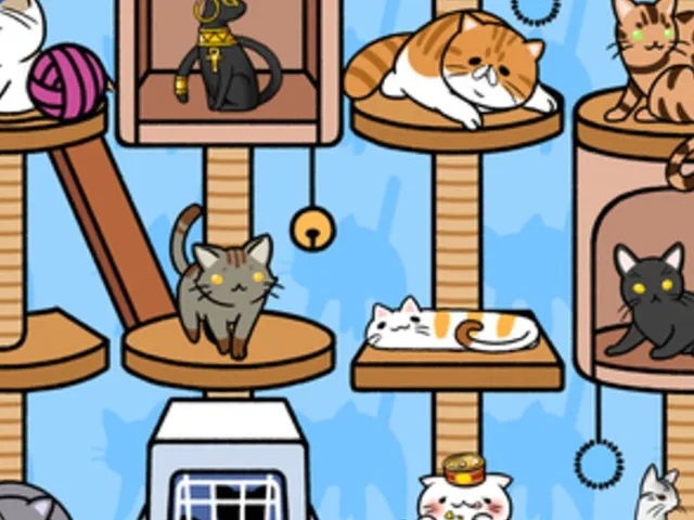 Cat Condo