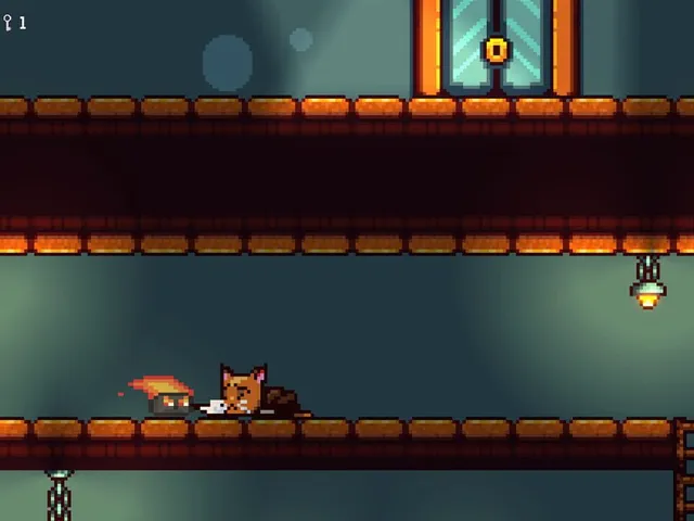 Cat Dimension