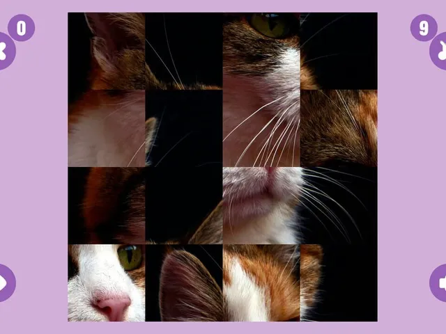 Cat Game