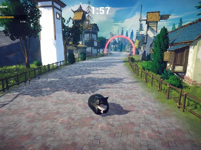 Cat Karting