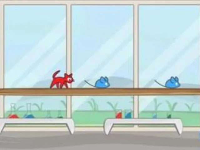 Cat Lab!