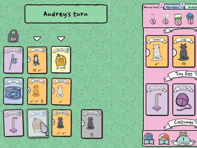 Cat Lady: The Card Game