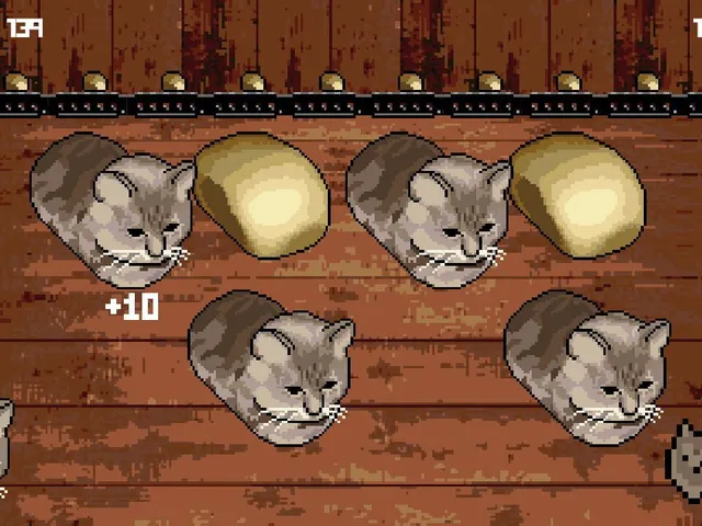 Cat or Bread?