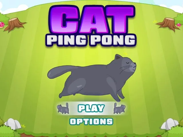 Cat Ping Pong