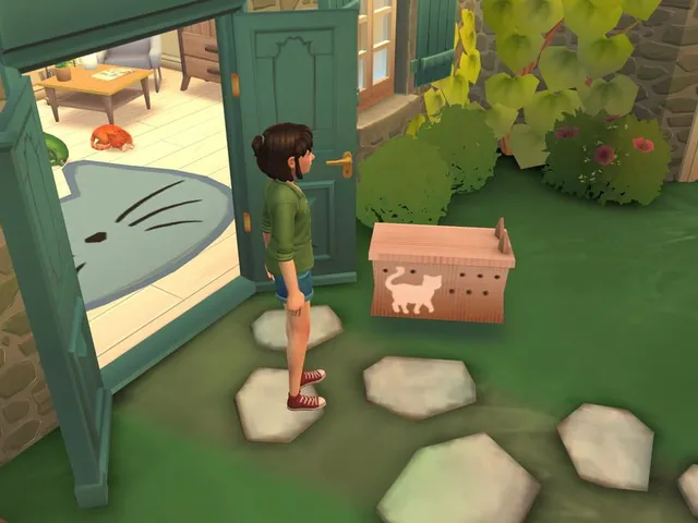 Cat Rescue Story