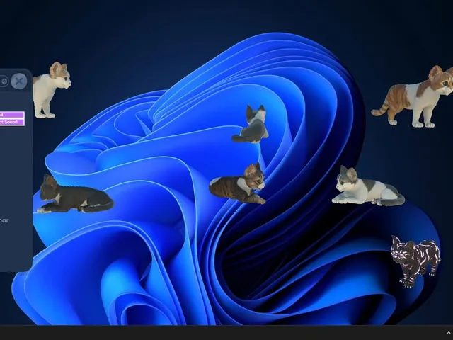 Cat Screen