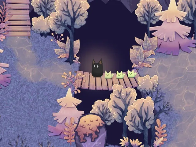 Cat Seeker