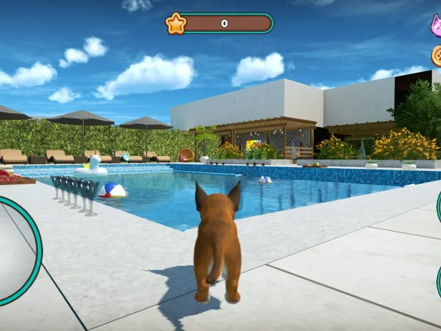 Cat Simulator 2