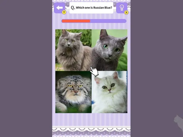 Cat Spotting Challenge!