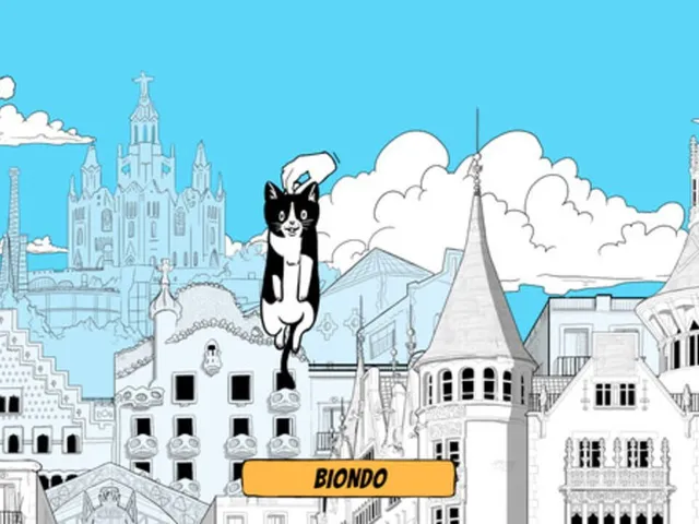 Catcelona