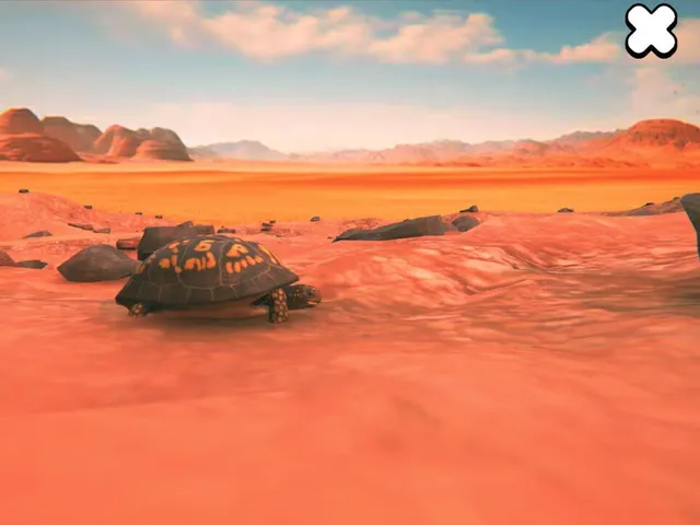Catch the Turtle
