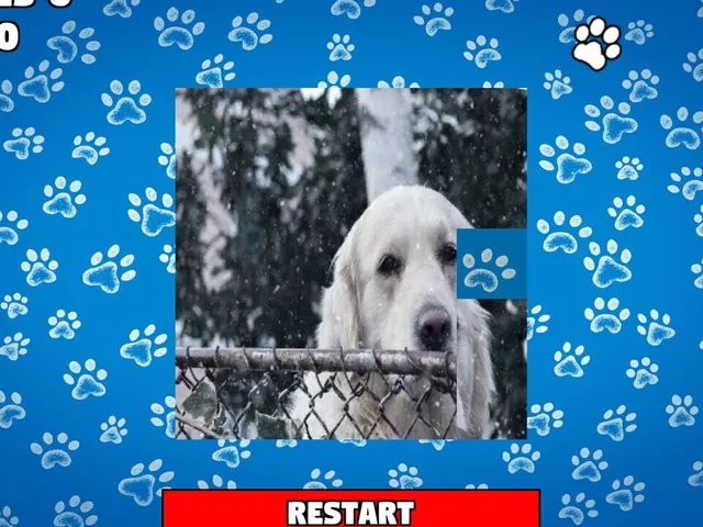 CatDog Puzzle