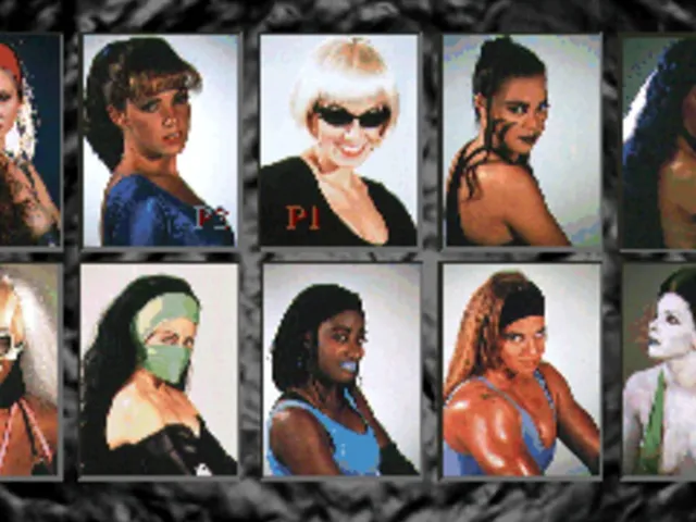 CatFight: The Ultimate Female Fighting Game