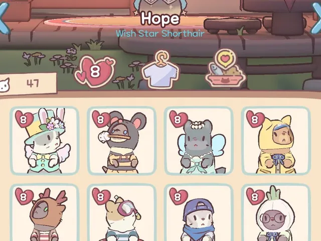Cats & Soup: Magic Recipe