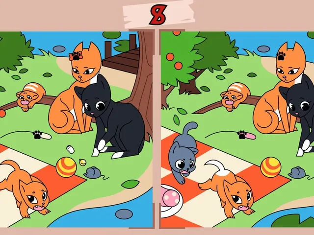 Cats Contrast