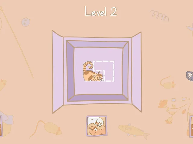 Cats in Boxes