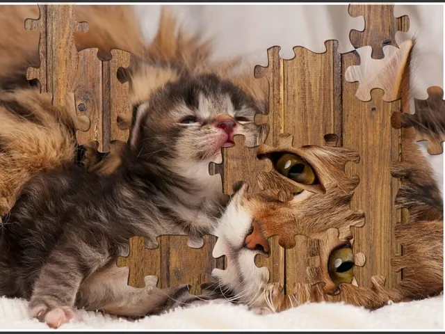 Cat's Life Jigsaw Puzzles