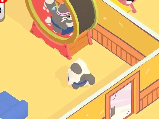 Cats Story