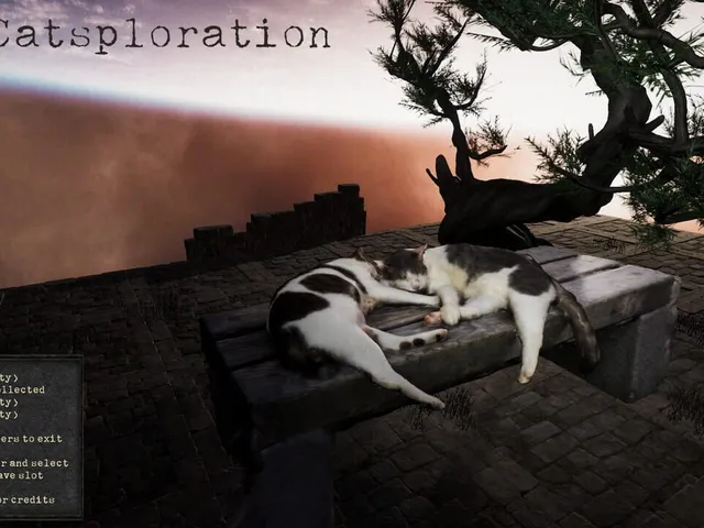 Catsploration