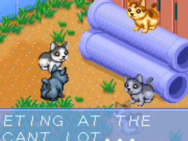 Catz