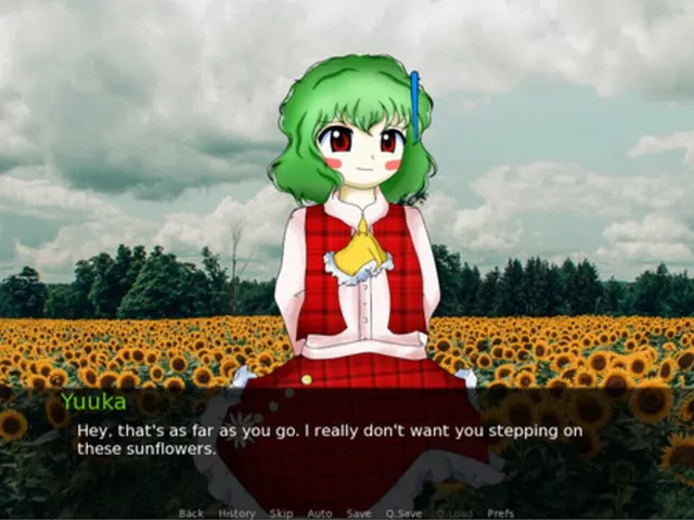 CBT With Yuuka Kazami