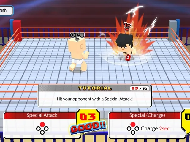 Chiki-Chiki Boxy Pro Wrestling