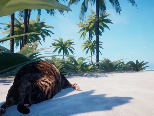 Chonky Cat