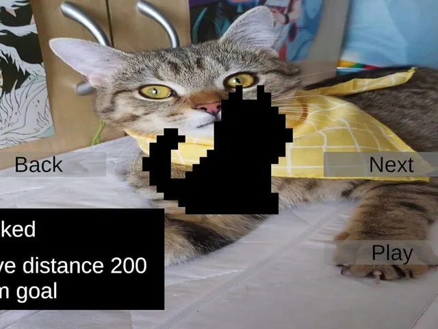 Climbing with Silly Cat