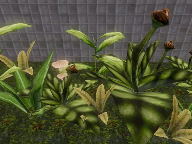 Cloud Storage Botanical Station
