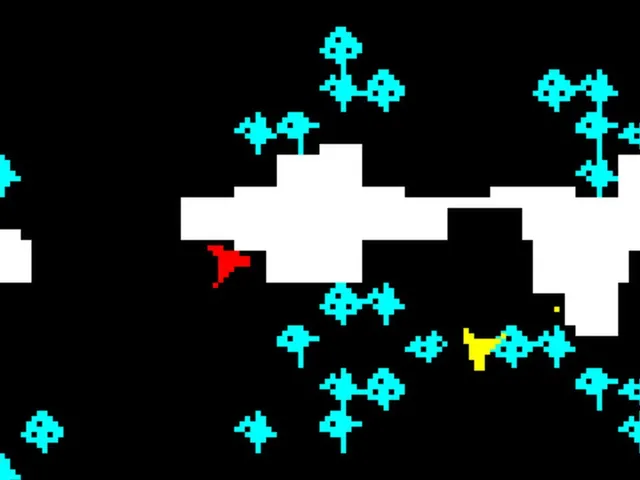 Combat