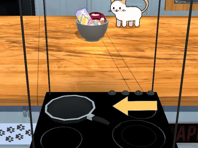Cooking with Cat