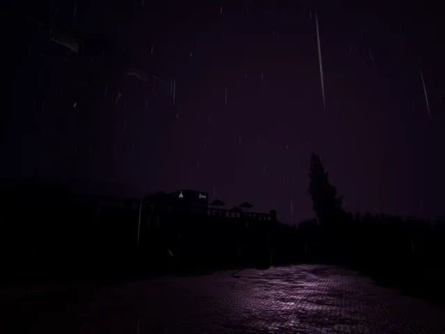 Corcovado's Night Guard