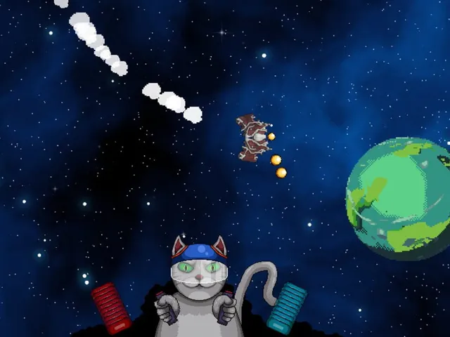 Cosmic Cat