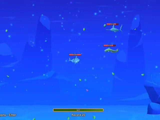 Crazy Shark