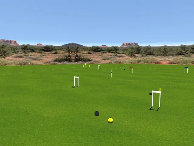 Croquet Pro 2