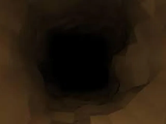 Curiosity Killed the Explorer